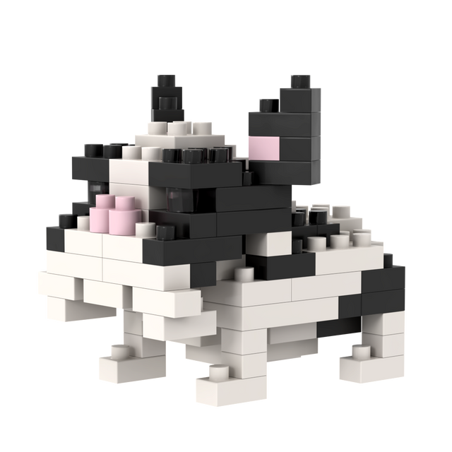 BRIXIES Französische Bulldogge