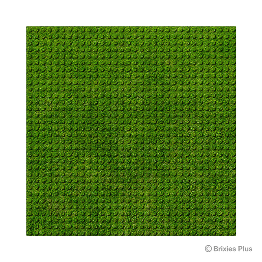 BRIXIES Plus Designer Platte Rasen 32 x 32 Noppen