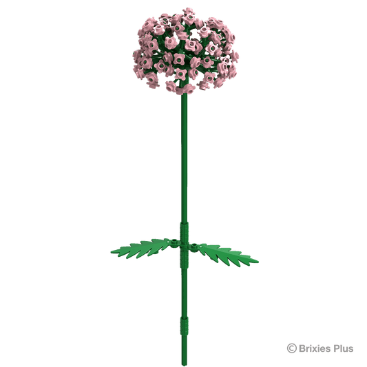 BRIXIES Plus Flowers Allium