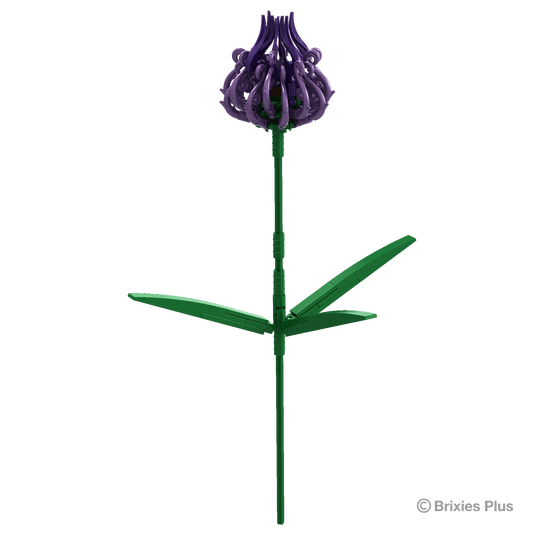 BRIXIES Plus Flowers Phyteuma