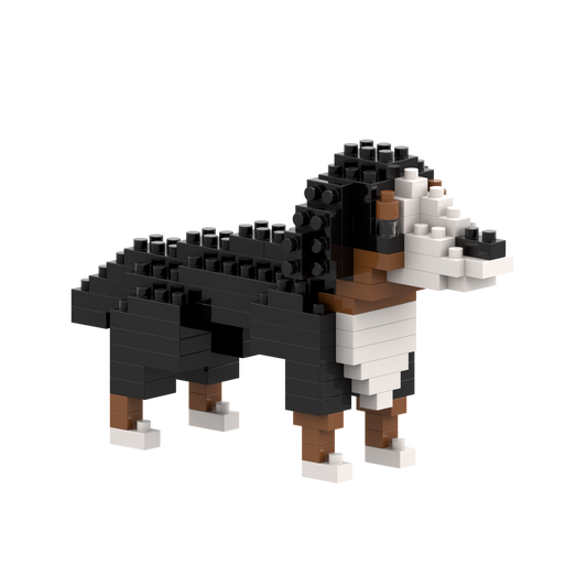 BRIXIES Bernhardiner