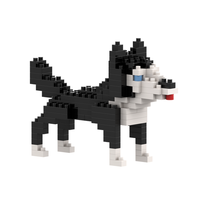 BRIXIES Husky