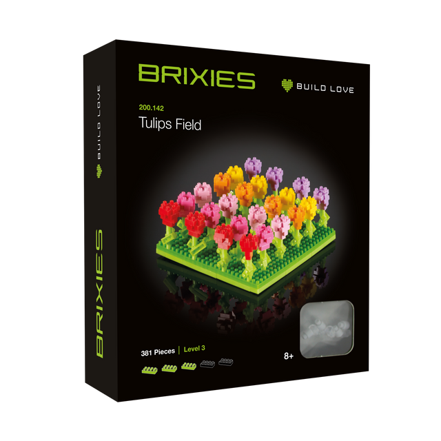 BRIXIES Tulpenfeld