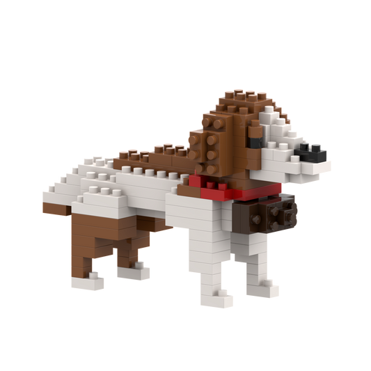 BRIXIES Berg Bernhardiner