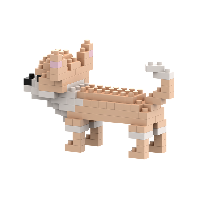 BRIXIES Chihuahua