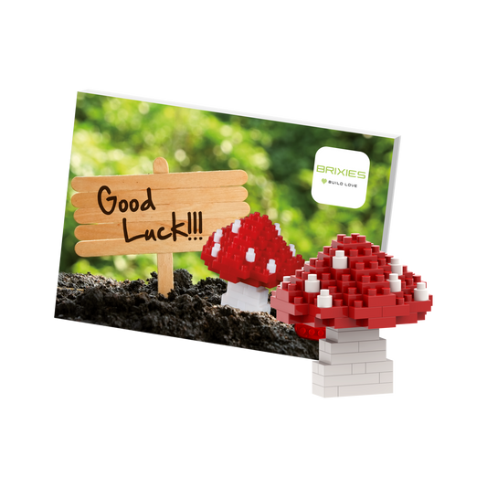 BRIXIES Postkarte Glückspilz