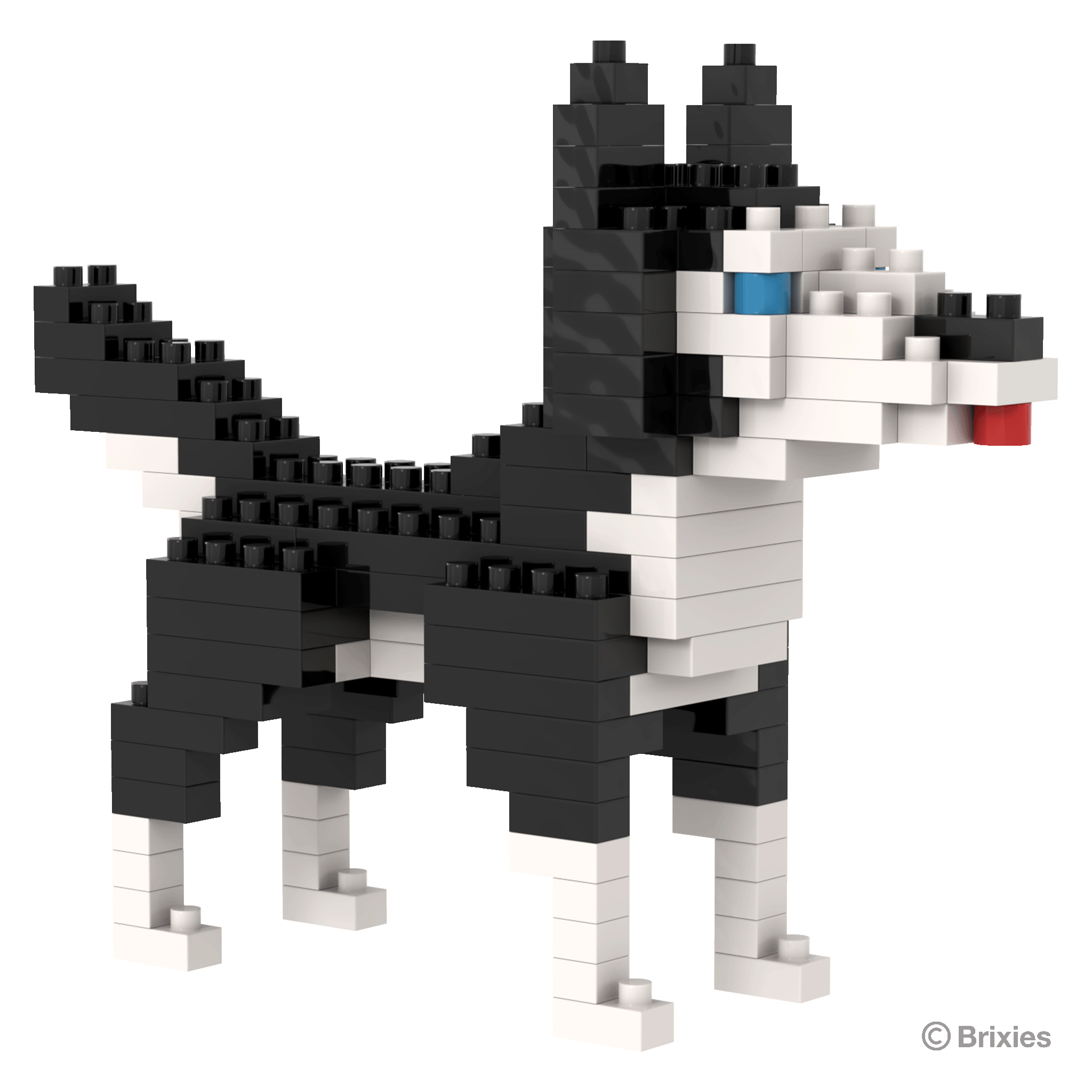 BRIXIES Husky