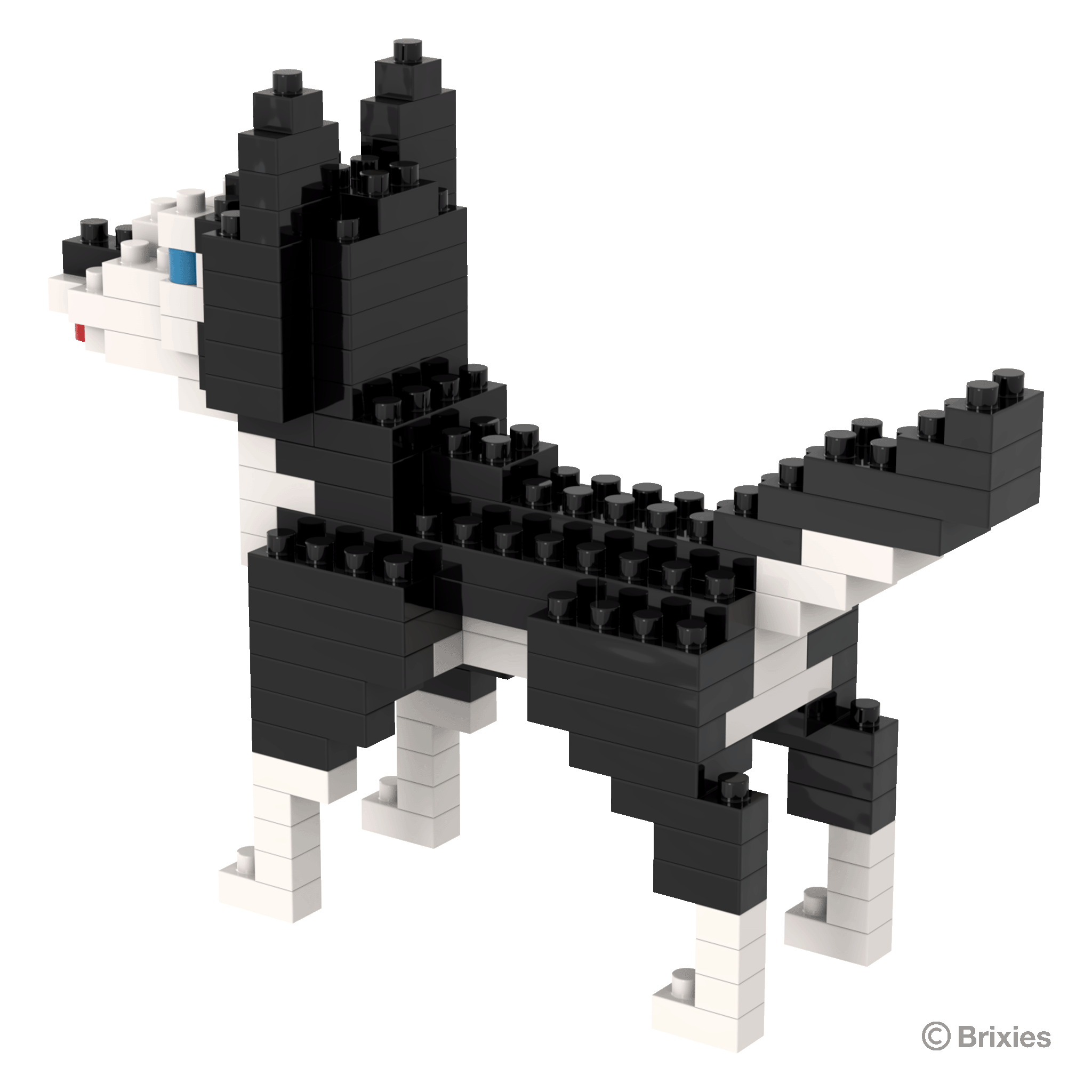 BRIXIES Husky