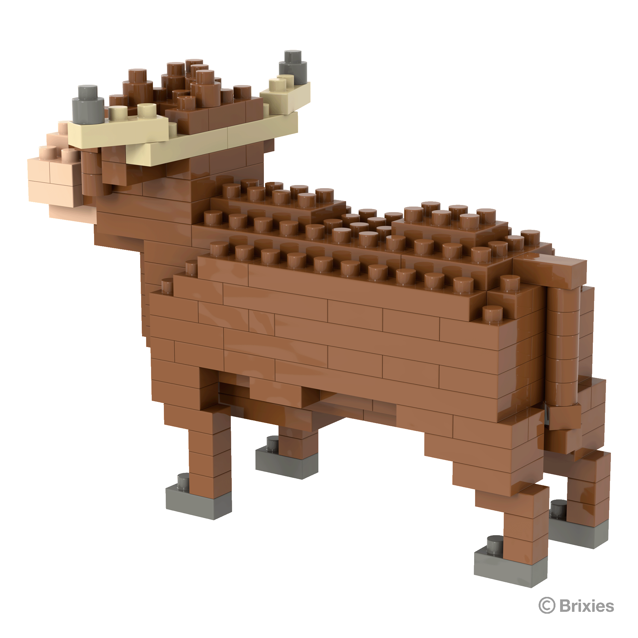 Brixies Highland Kuh / Highland Cow