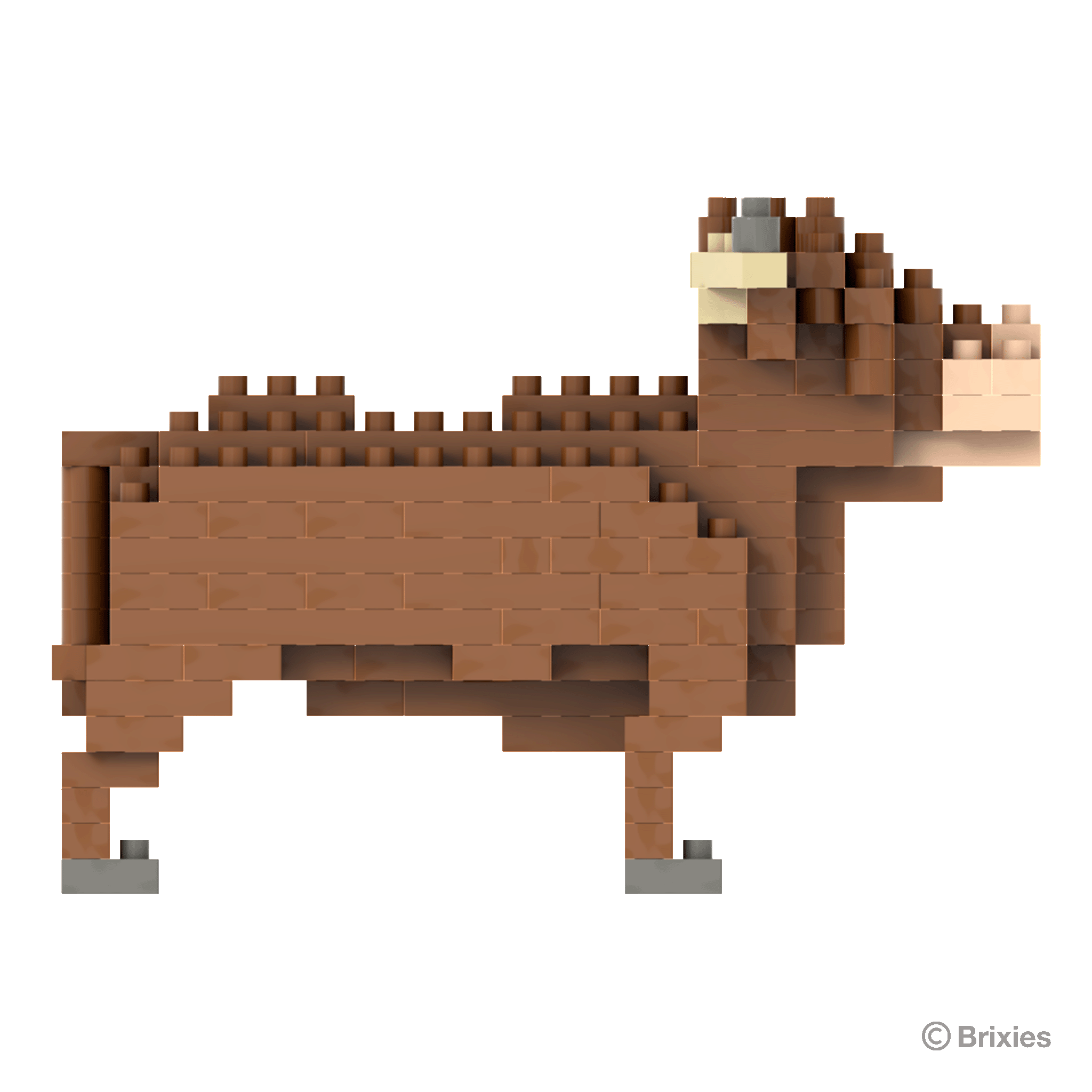 Brixies Highland Kuh / Highland Cow