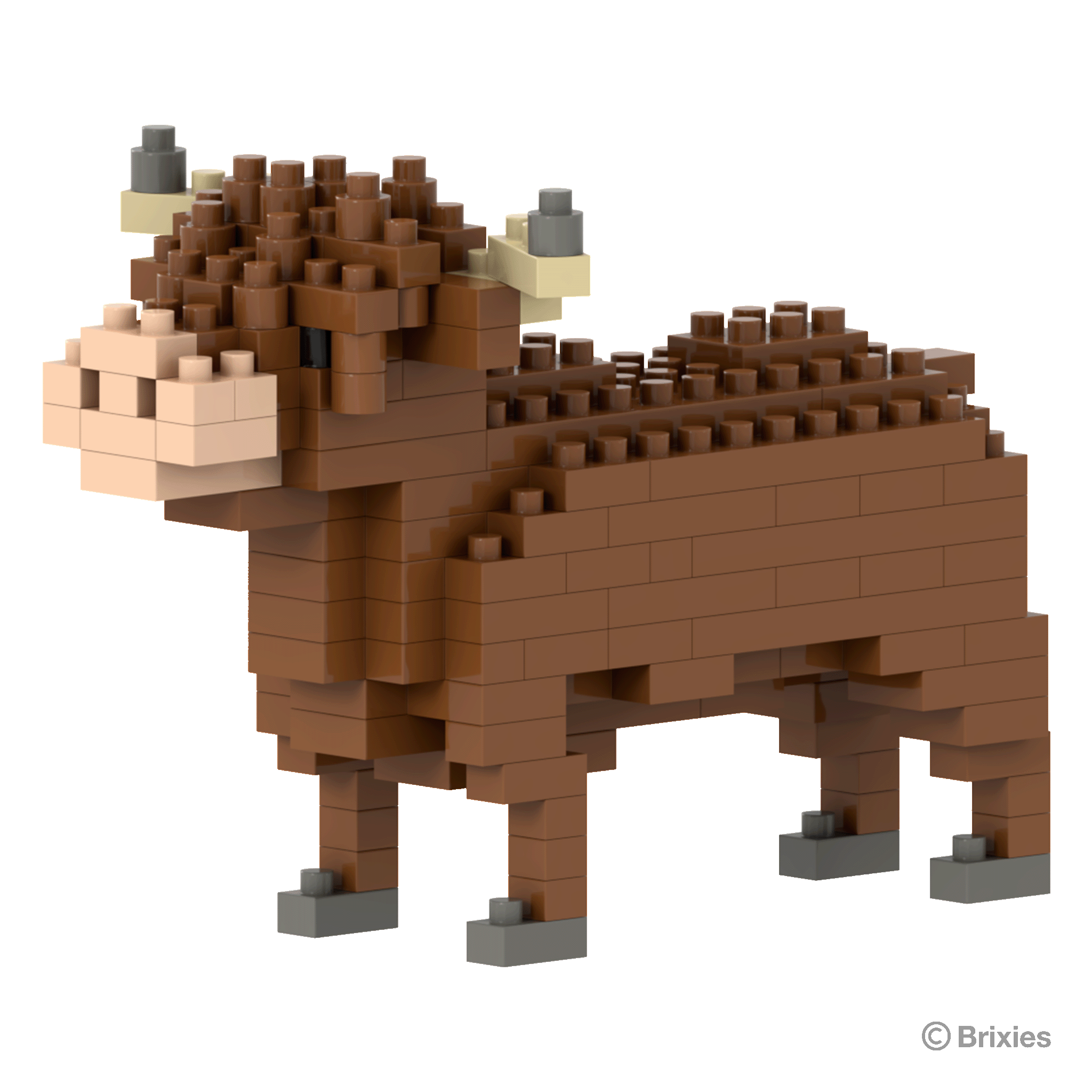 Brixies Highland Kuh / Highland Cow