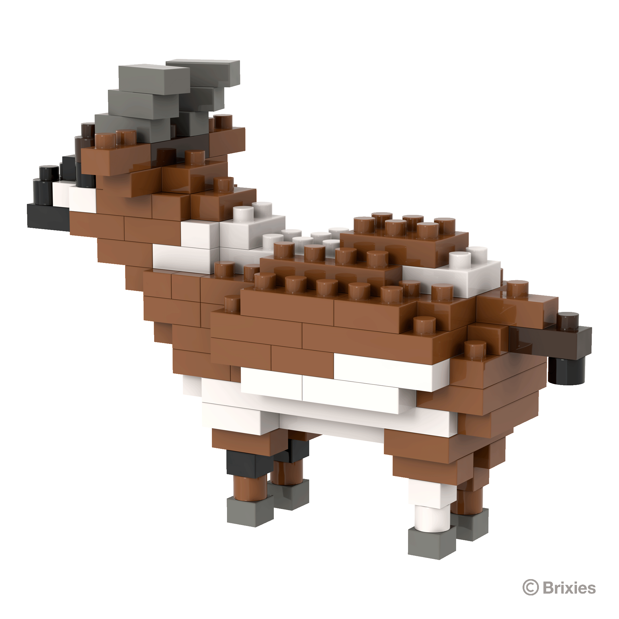 Brixies Ziege / goat