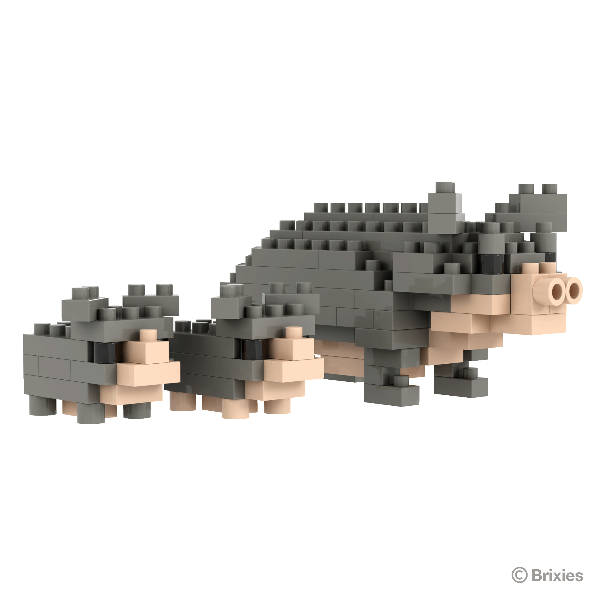 BRIXIES Hängebauchschwein / pot-bellied pig