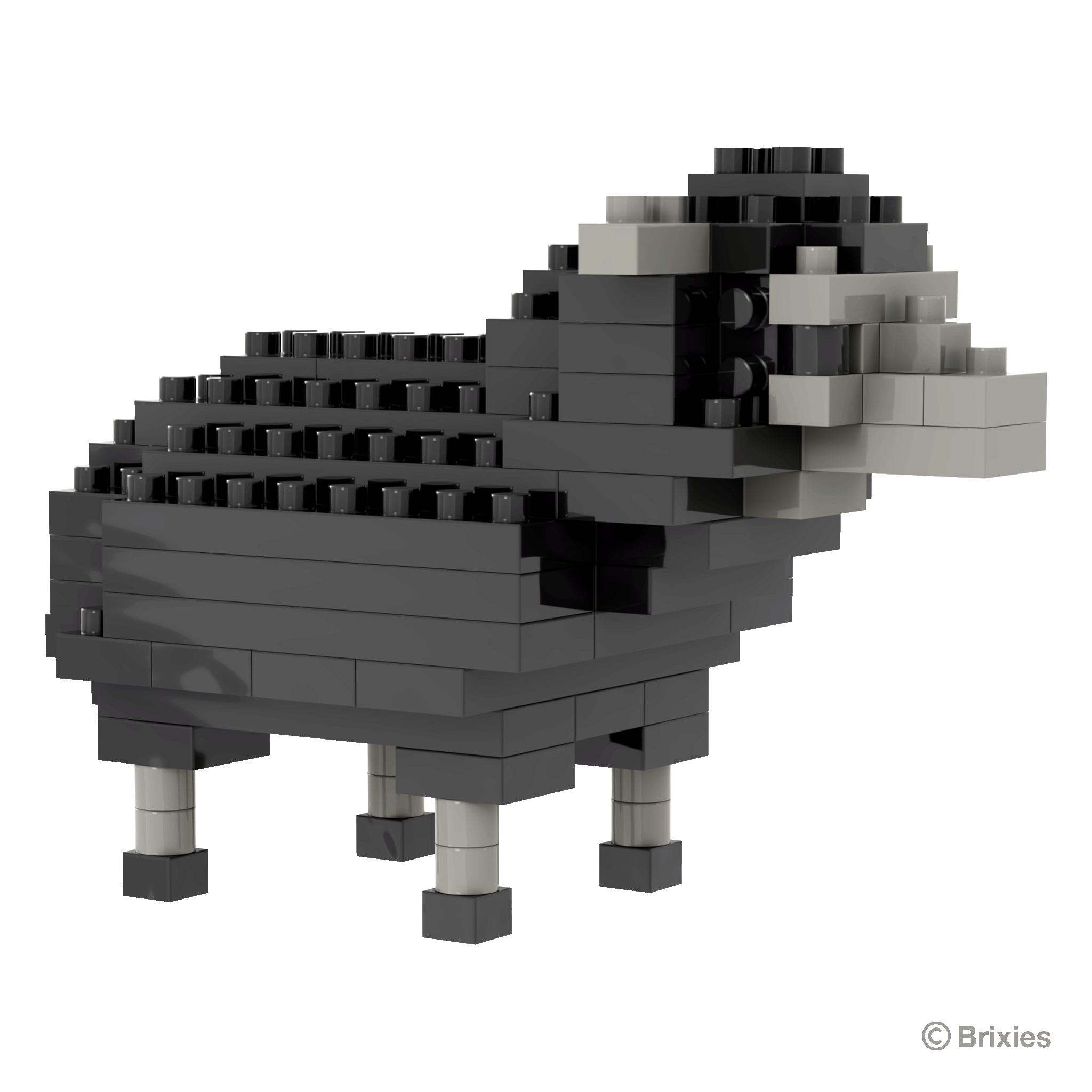 BRIXIES schwarzes Schaf / black sheep