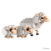 BRIXIES Schaf und Lämmer / Sheep and lambs