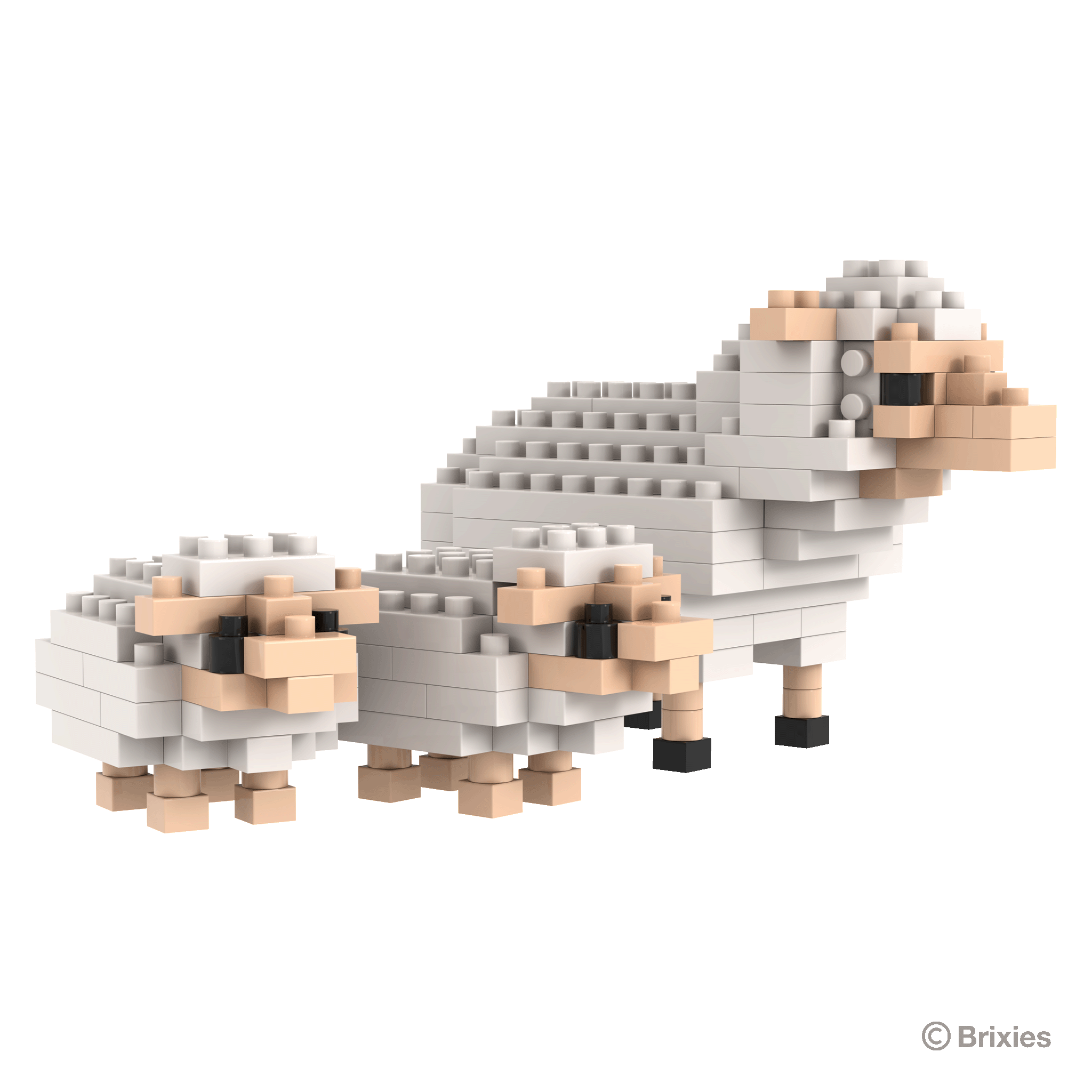 BRIXIES Schaf und Lämmer / Sheep and lambs