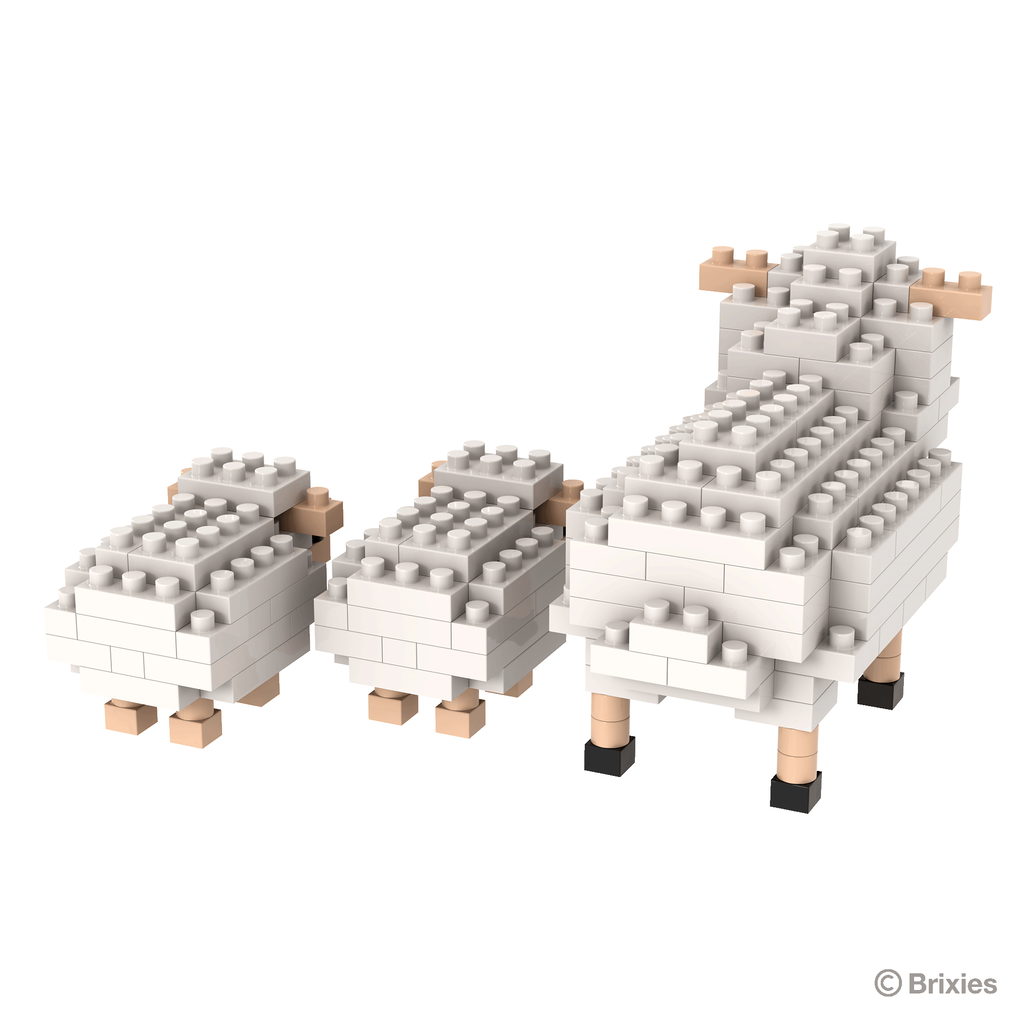 BRIXIES Schaf und Lämmer / Sheep and lambs