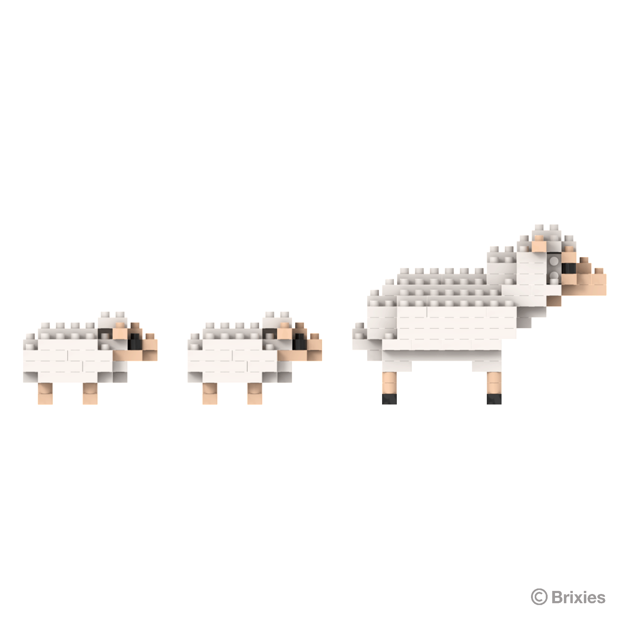 BRIXIES Schaf und Lämmer / Sheep and lambs