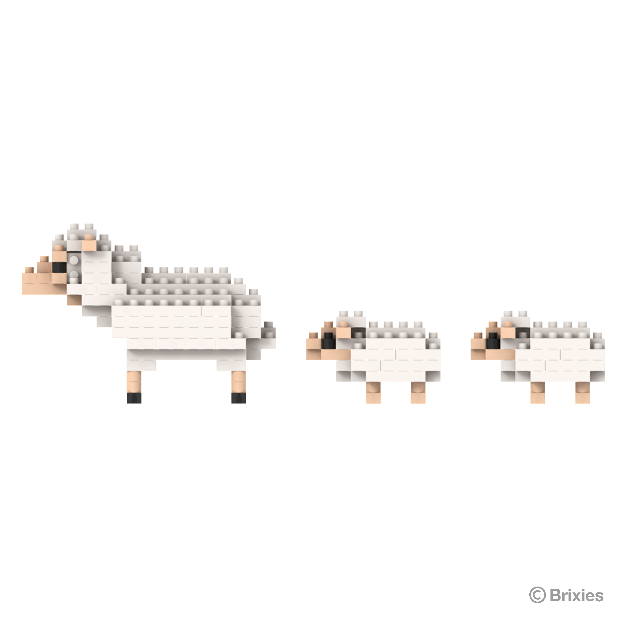 BRIXIES Schaf und Lämmer / Sheep and lambs