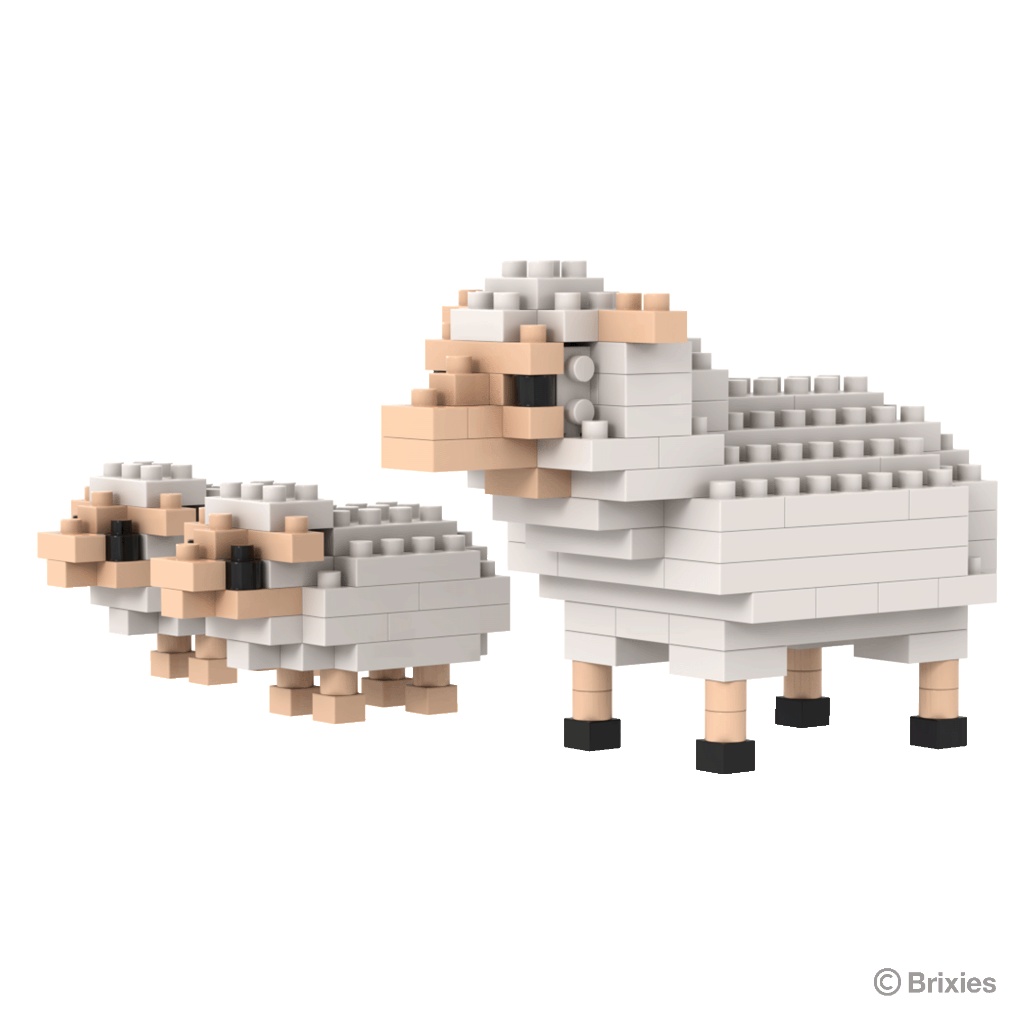 BRIXIES Schaf und Lämmer / Sheep and lambs