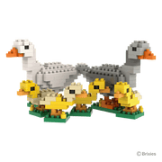 Gänsefamilie / family of geese