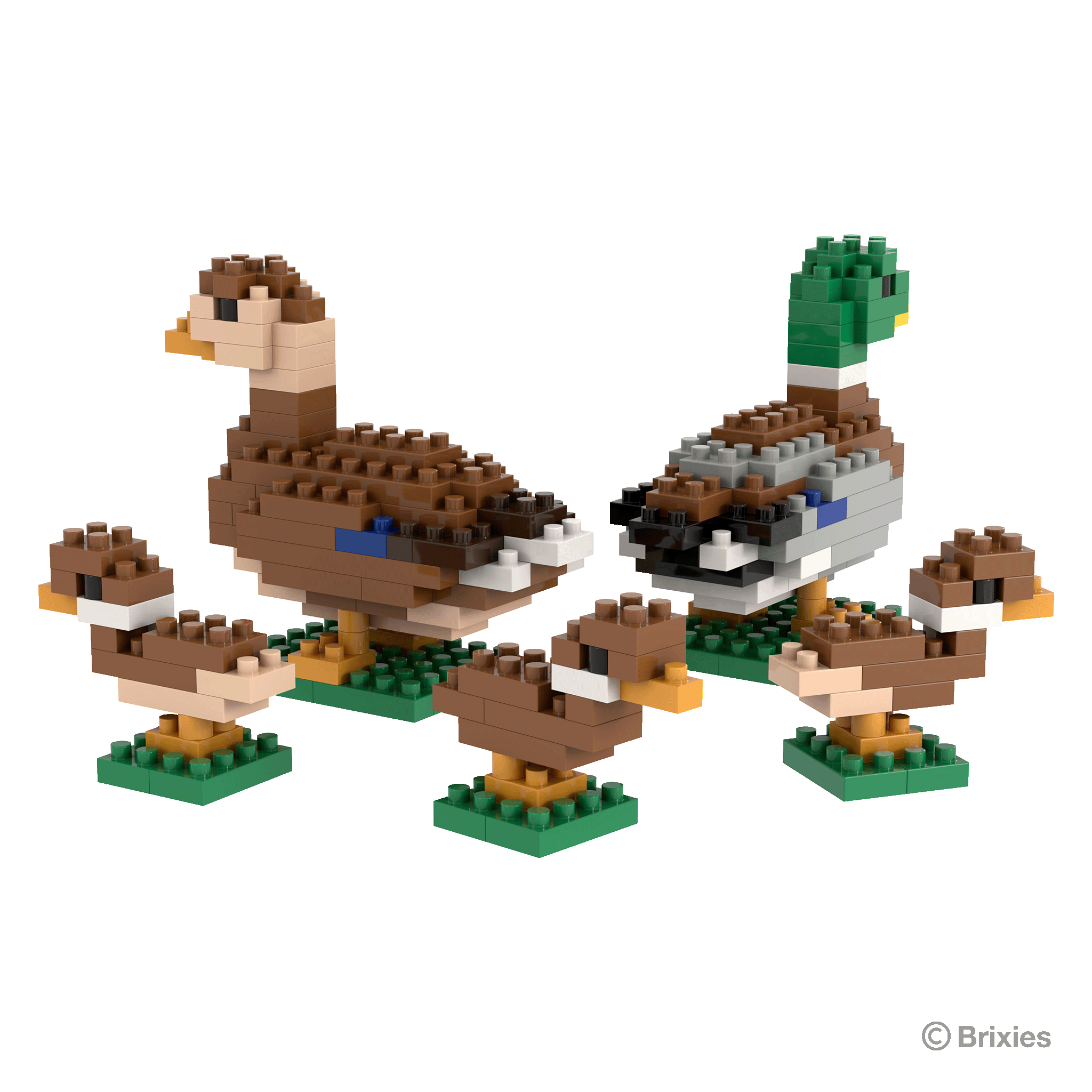 BRIXIES Entenfamiliee / family of ducks