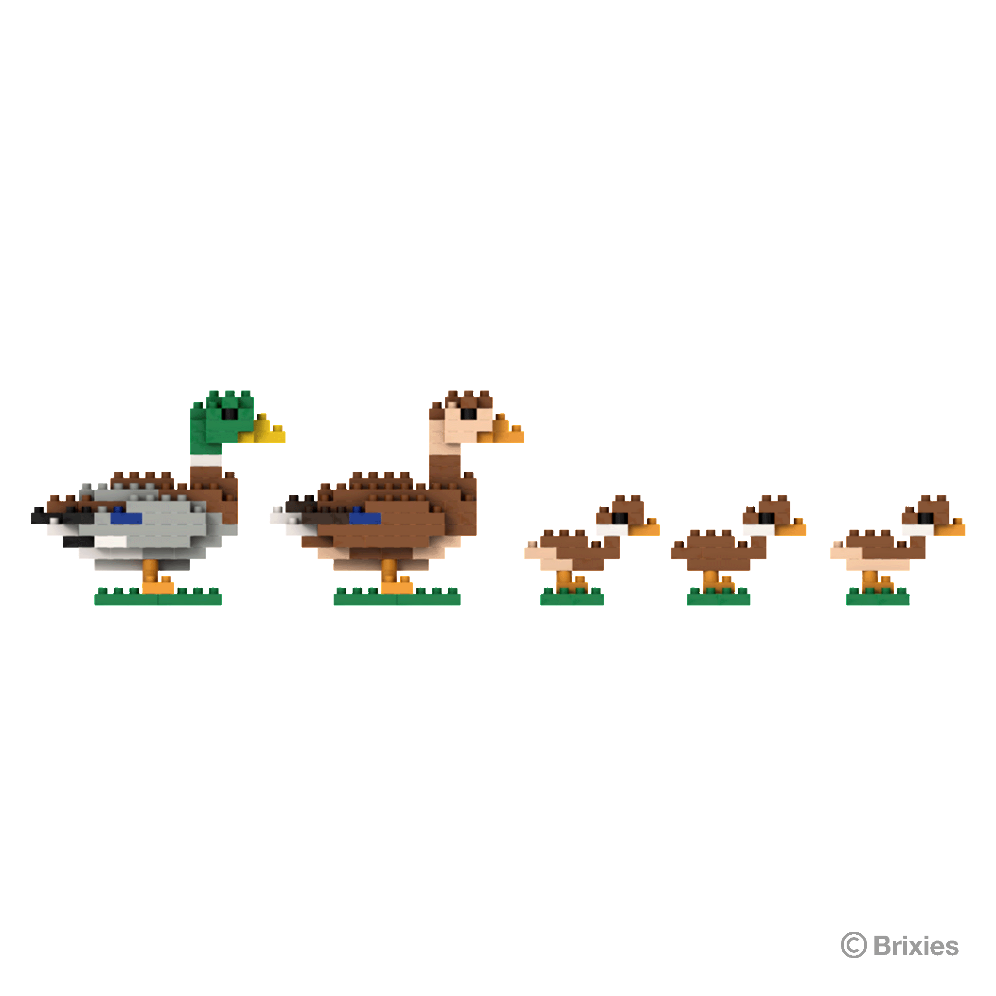 BRIXIES Entenfamiliee / family of ducks