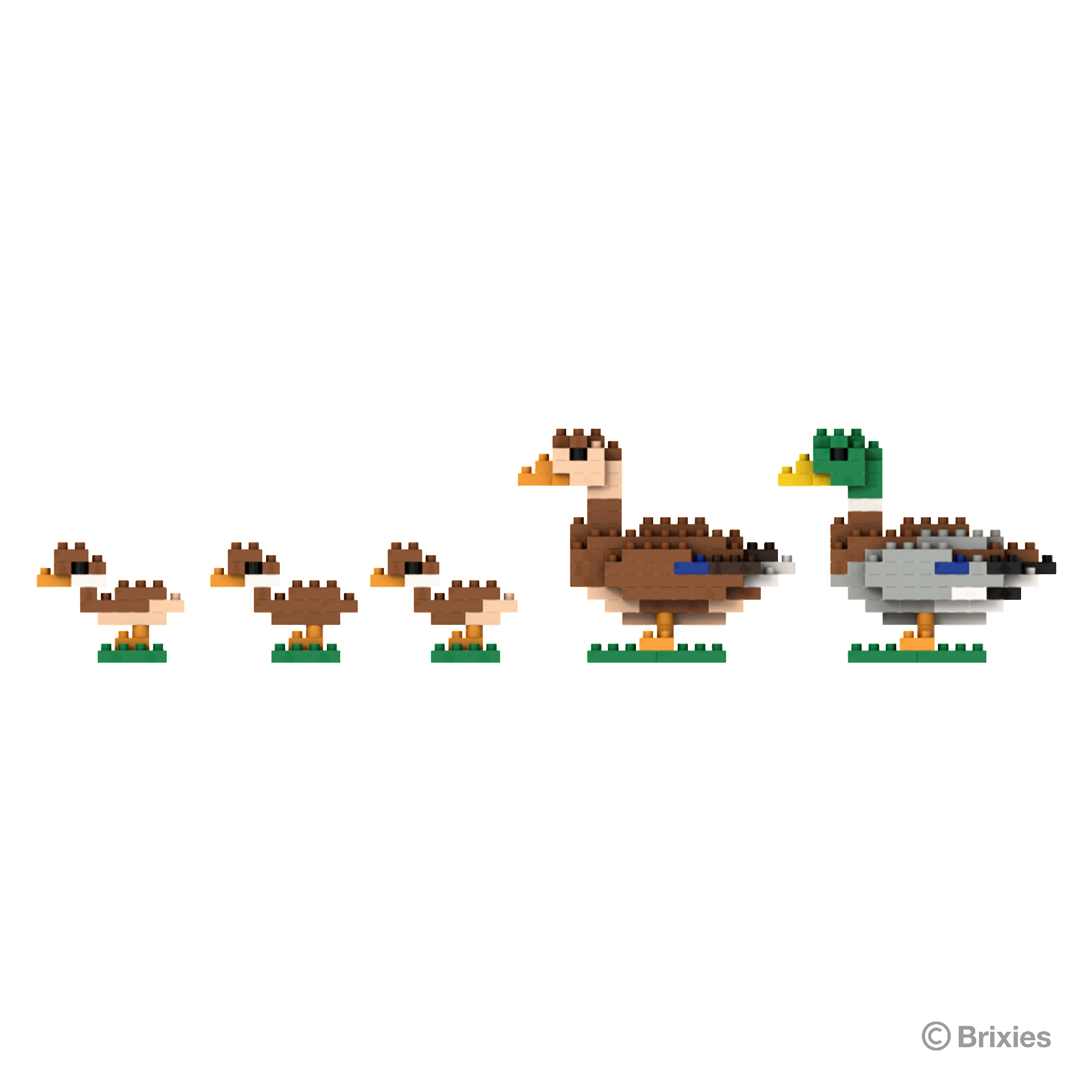 BRIXIES Entenfamiliee / family of ducks