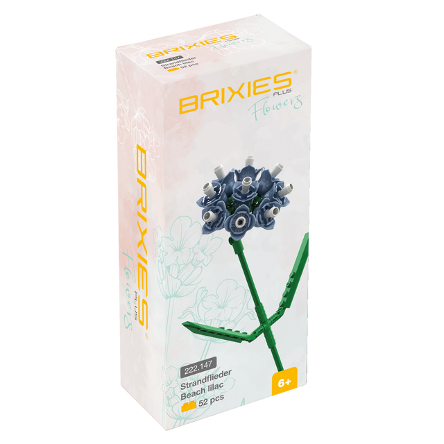 BRIXIES Plus Flowers Strandflieder