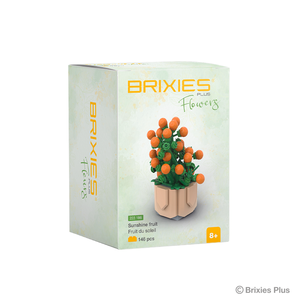BRIXIES Plus Mini Blume "Sunshine fruit"