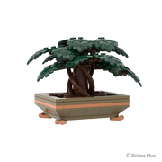 BRIXIES Plus Zimmerpflanze Bonsai "Nature balance" klein