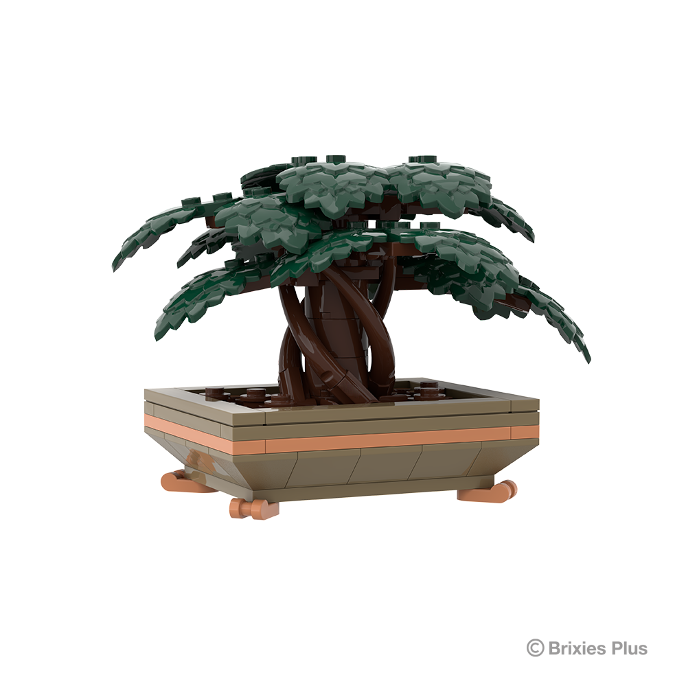 BRIXIES Plus Zimmerpflanze Bonsai "Nature balance" klein