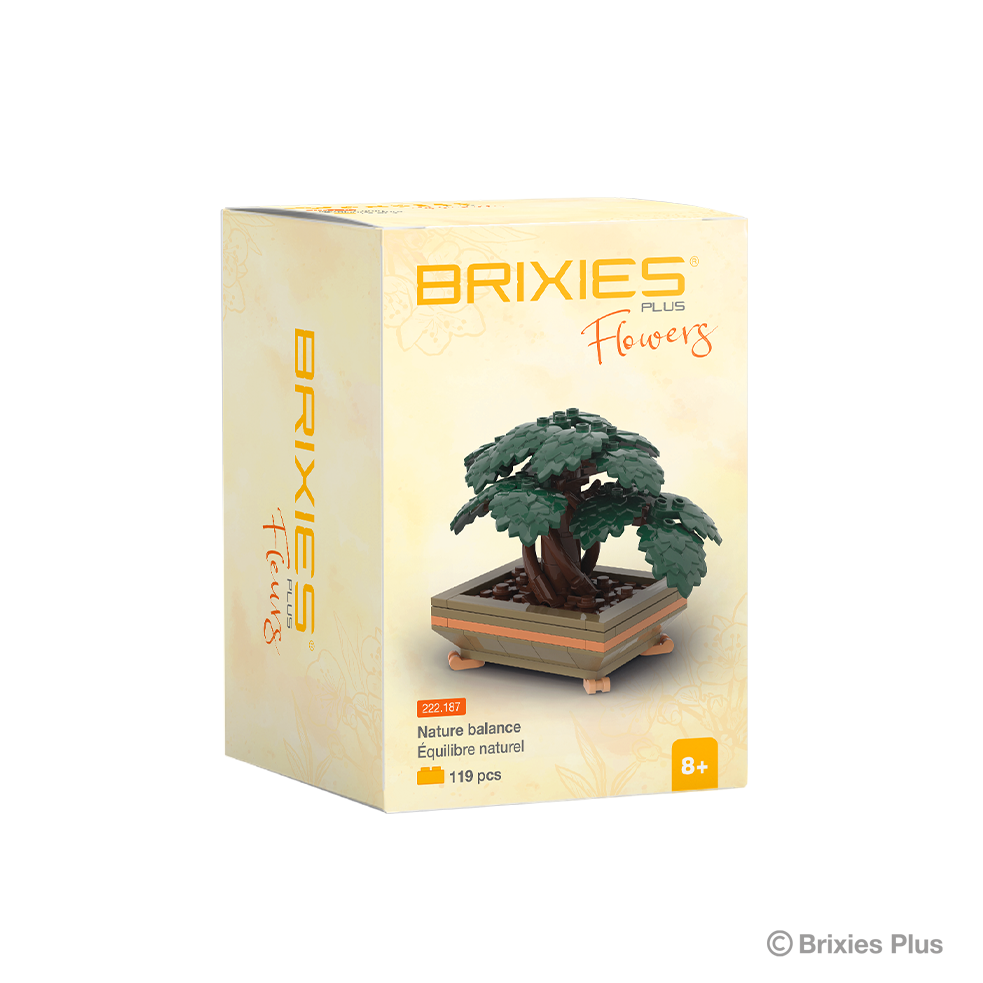 BRIXIES Plus Zimmerpflanze Bonsai "Nature balance" klein