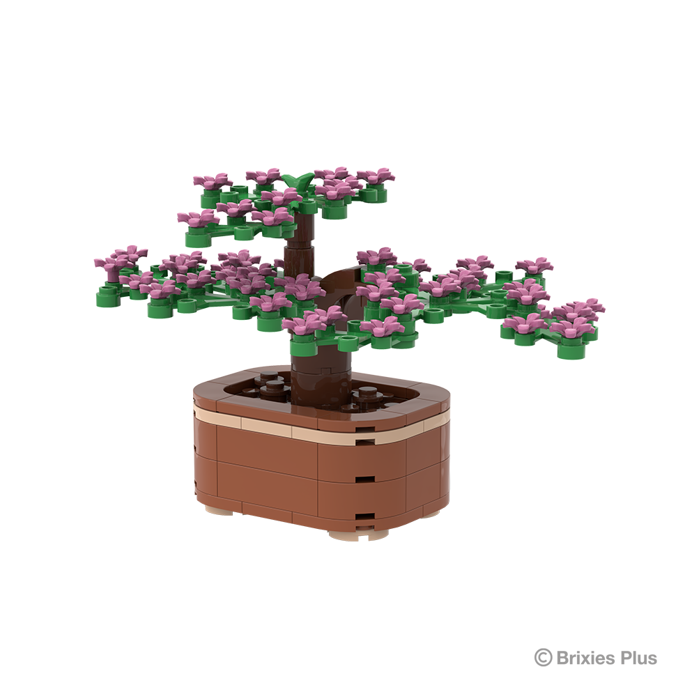 BRIXIES Plus Zimmerpflanze Bonsai "Sakura dream" klein