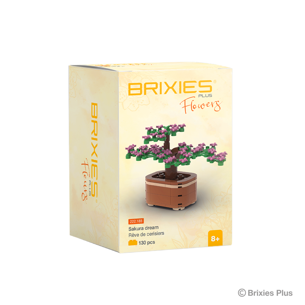 BRIXIES Plus Zimmerpflanze Bonsai "Sakura dream" klein