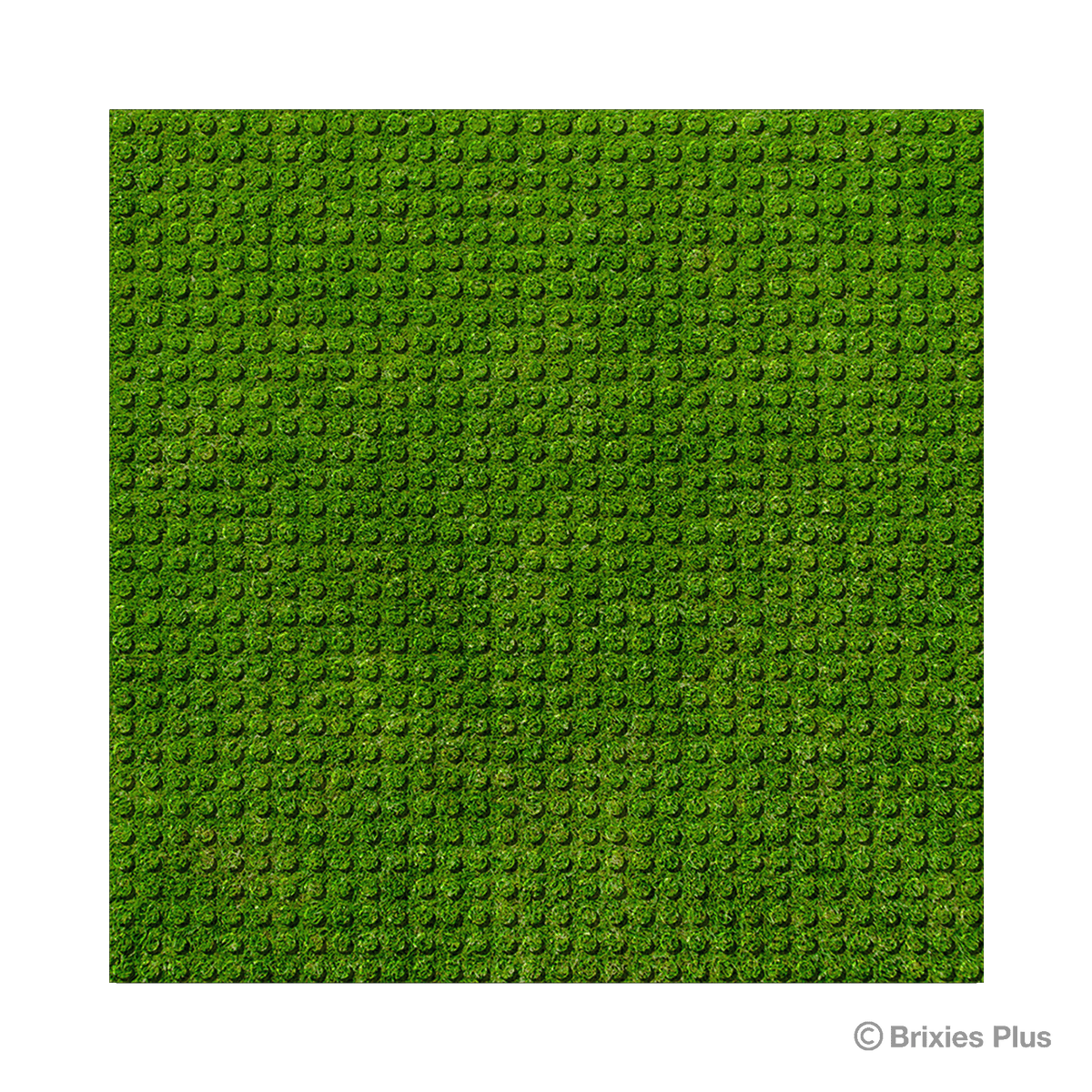 BRIXIES Plus Designer Platte Rasen 32 x 32 Noppen