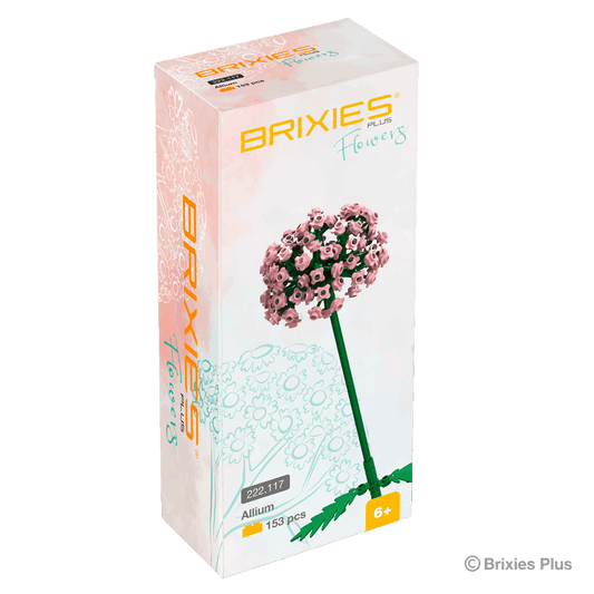 BRIXIES Plus Flowers Allium