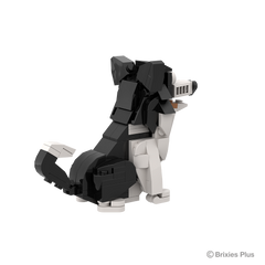 BRIXIES Plus Farmbuddies Border Collie