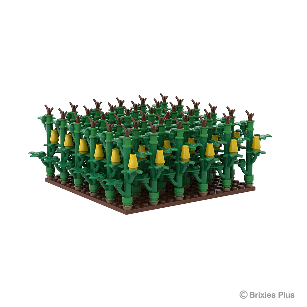 Brixies Plus Maisfeld / cornfield