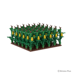 Brixies Plus Maisfeld / cornfield