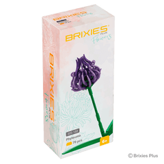 BRIXIES Plus Flowers Phyteuma