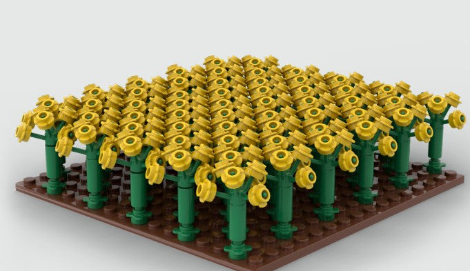 Brixies Plus Rapsfeld in der Blüte / Rapeseed field in bloom