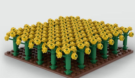 Brixies Plus Rapsfeld in der Blüte / Rapeseed field in bloom