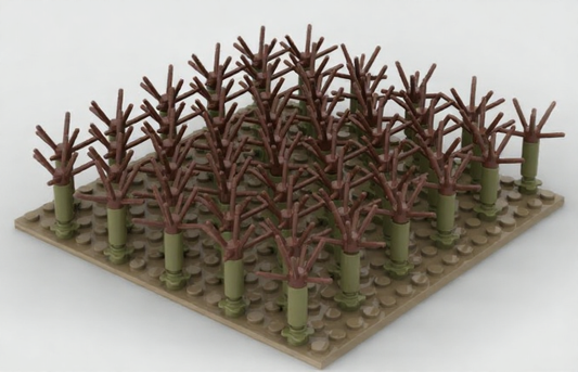 Brixies Plus Rapsfeld / rapeseed field