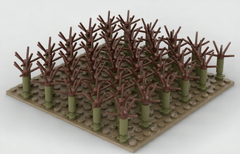 Brixies Plus Rapsfeld / rapeseed field