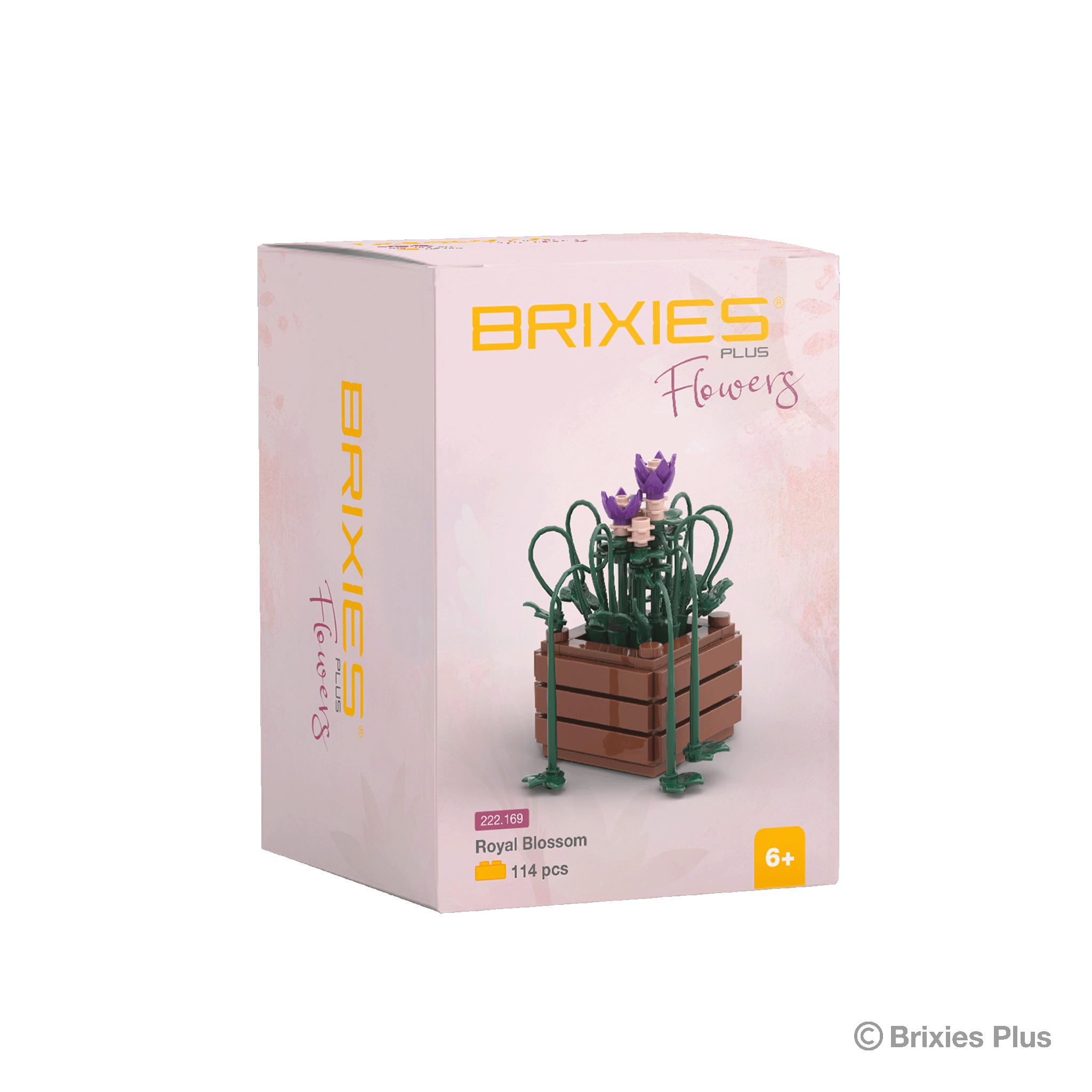 BRIXIES Plus Flowers Sea Lilac