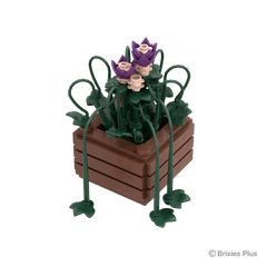 BRIXIES Plus Mini Blume "Royal Blossom"