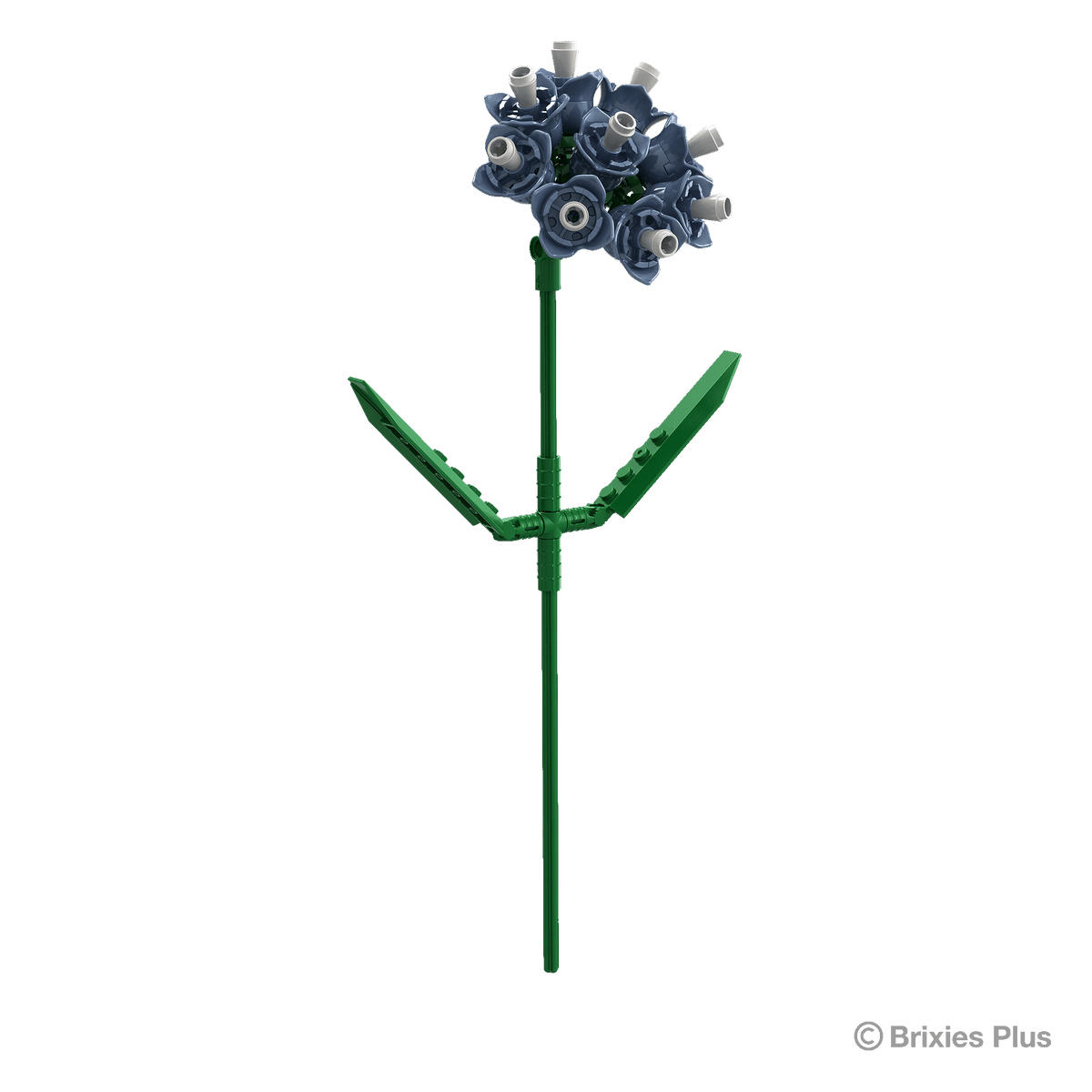 BRIXIES Plus Flowers Strandflieder