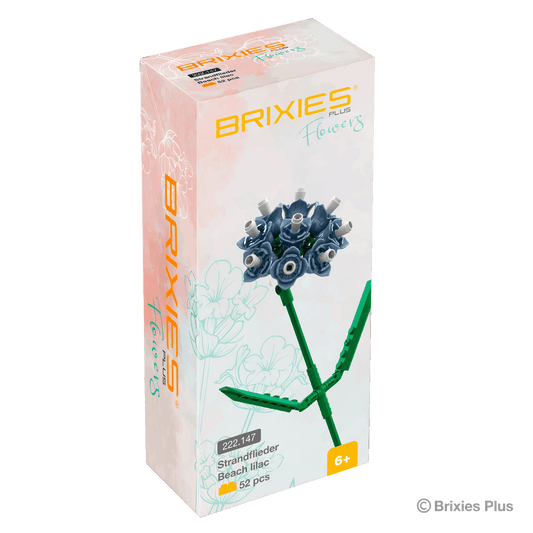 BRIXIES Plus Flowers Strandflieder