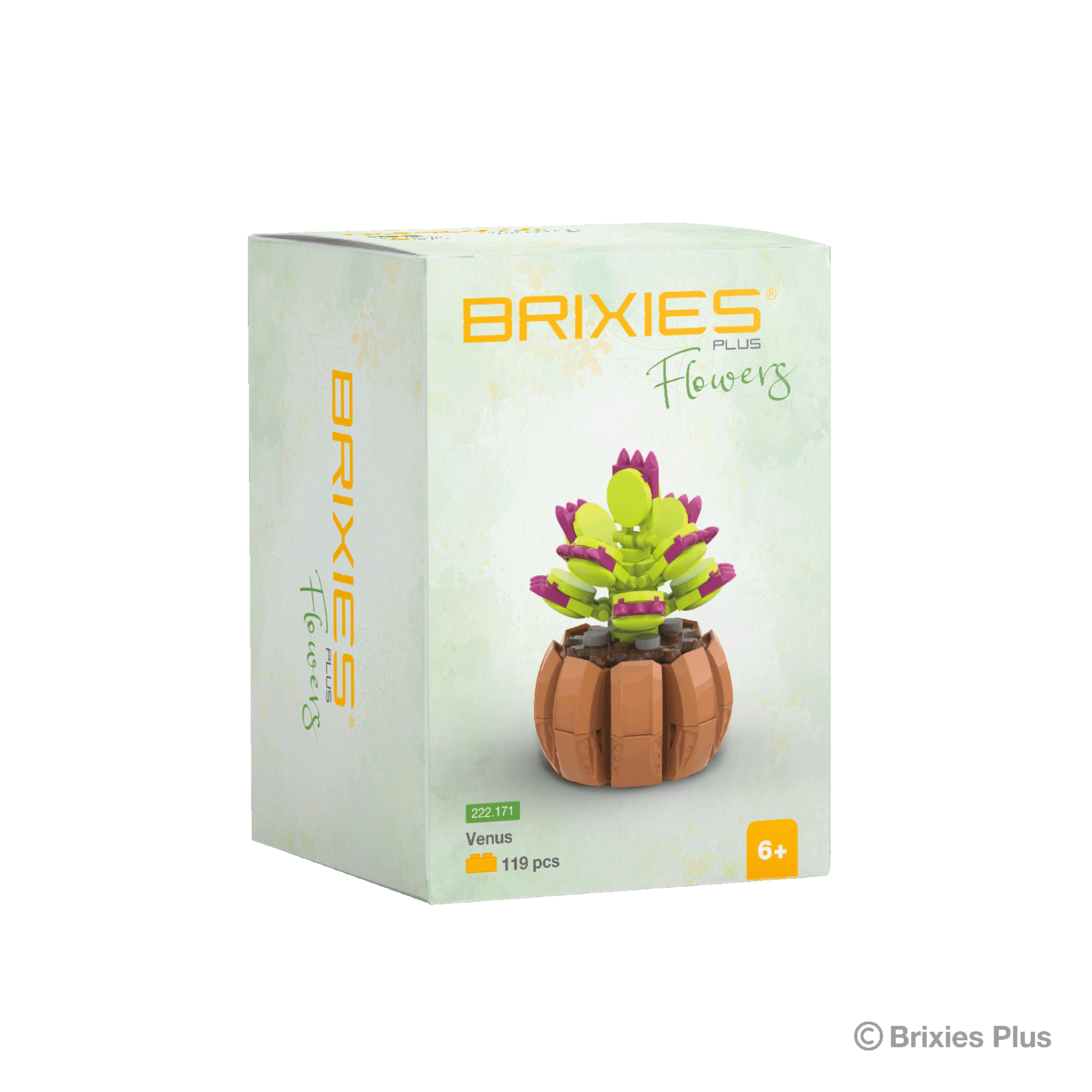 BRIXIES Plus Flowers Sea Lilac